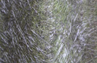 Caolas Scalpaigh fibreglass roof work